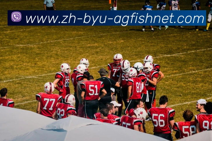 多媒体互动体验