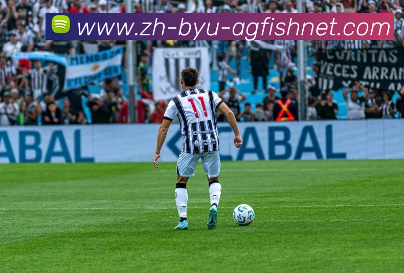 AG捕鱼王官网APP 体育赛事宣传图